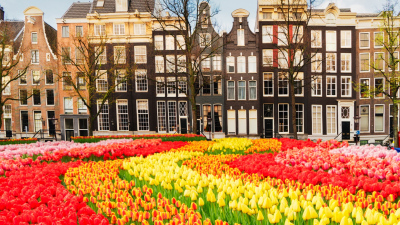 Why Dutch Insurance Innovator Axell Claims Works with an Estonian IT Partner