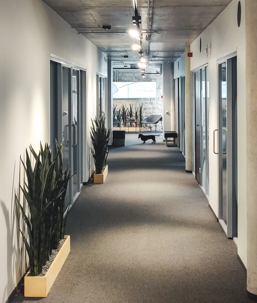 Helmes a Great Place to Work Helmes