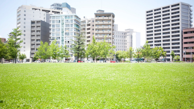 A Map Application for Analyzing the Energy Performance of Buildings Will Help Dutch Municipalities Propel a Green Transition